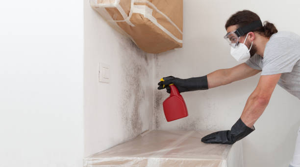 Professional Mold Inspection And Testing technician working in East Hanover, NJ